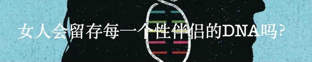 安妮鲜为人知的日记 安妮 日记 Britannica 利维坦 弗兰克 读者 错觉 犹太 小姑娘 内心 崇真艺客