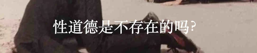 安妮鲜为人知的日记 安妮 日记 Britannica 利维坦 弗兰克 读者 错觉 犹太 小姑娘 内心 崇真艺客