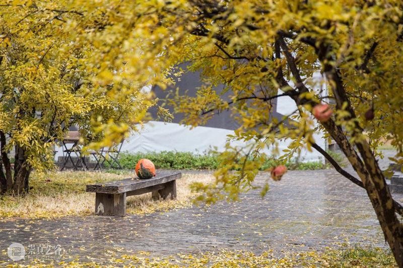 闭馆通知｜北京三影堂将于10月16日至10月20日闭馆 北京 通知 三影堂 观众 朋友 内部 活动 三影堂摄影艺术中心 常闭馆 时间 崇真艺客