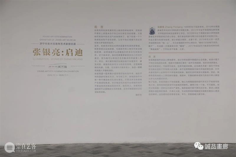 艺术家动态丨张银亮于济宁市美术馆举办个展 济宁市美术馆 艺术家 张银亮 个展 动态 青年 国家艺术基金 项目 青衿 计划 崇真艺客
