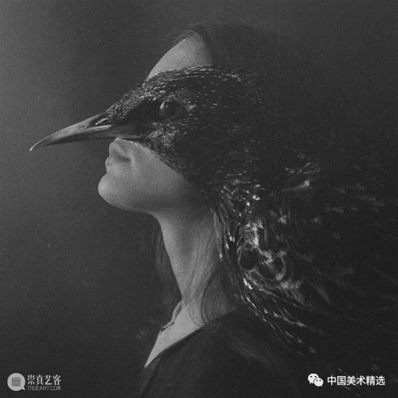 女孩与飞鸟 女孩 飞鸟 童话 巫术 报应 Laura bresku 波兰 视觉 艺术家 崇真艺客