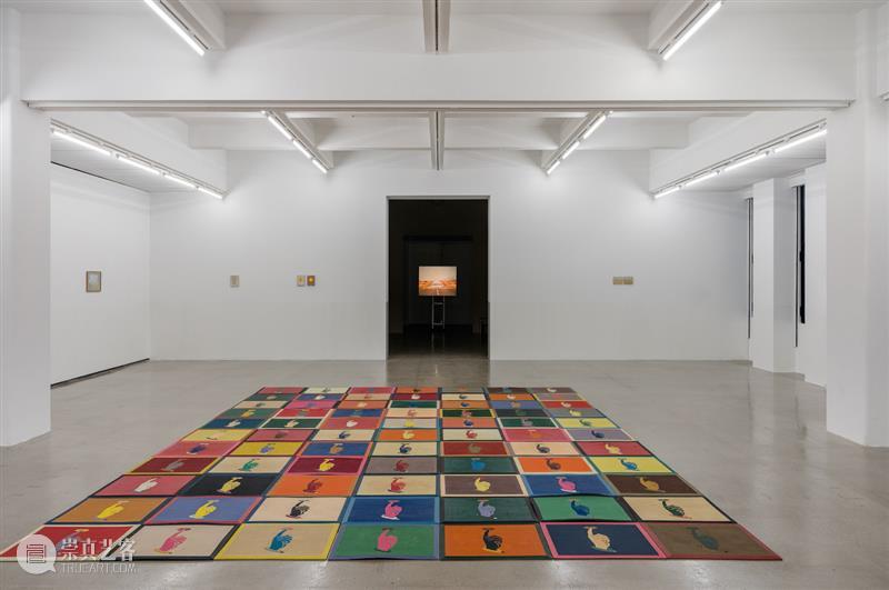 大馆当代美术馆 | 弗朗西斯·埃利斯(Francis Alys)香港个展《水限__陆界:边境与游戏》 弗朗西斯·埃利斯 陆界 边境与游戏 香港 大馆 当代美术馆 个展 Alys 卓纳 画廊 崇真艺客