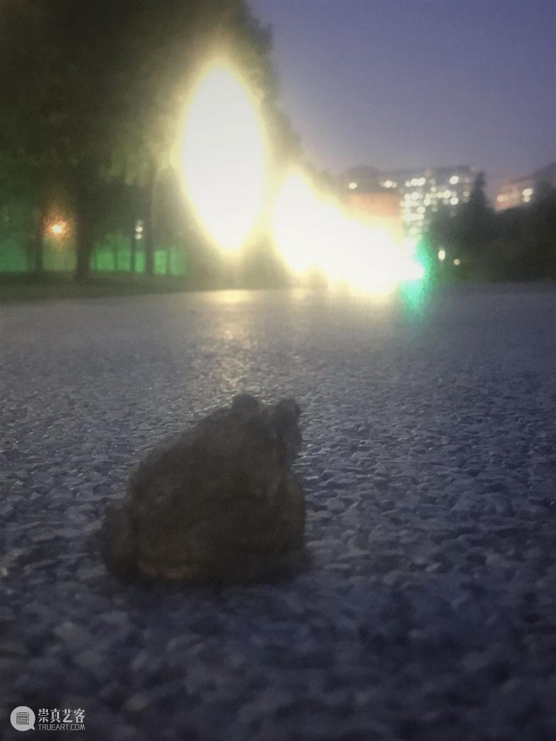 离线·孙岩​ | 万物皆能拿来表达 孙岩 万物 离线 危机 艺术家 系列 疫情 大宝堂 年纪 国外 崇真艺客
