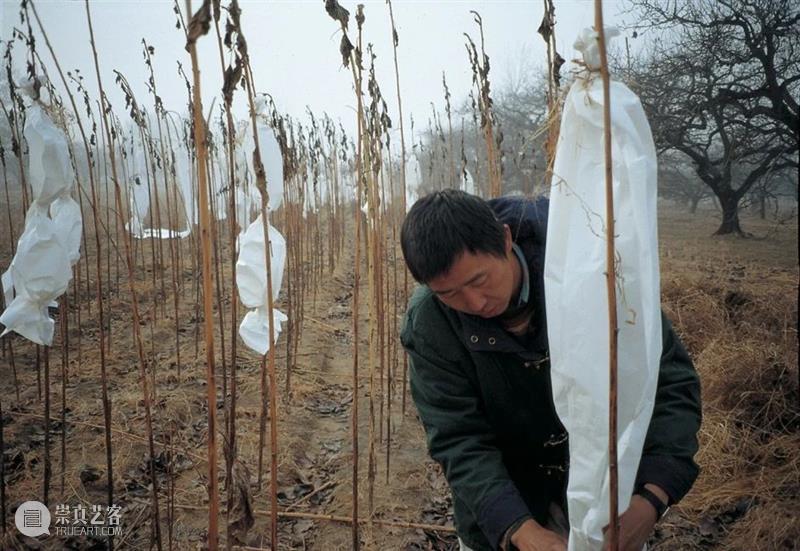 藝術門｜朱金石参展釜山市立美术馆《中国当代艺术三部曲：超越伤痕》 中国 艺术 三部曲 釜山 市立美术馆 藝術門｜朱金石 超越伤痕 伤痕 韩国 韩国釜山 崇真艺客