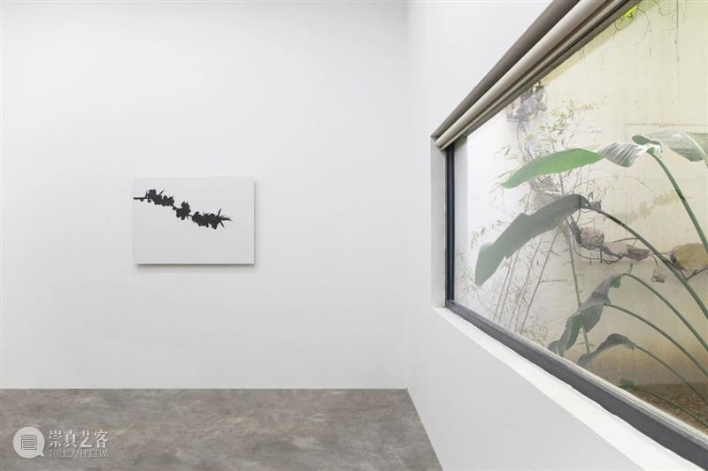 香格纳北京 | 《曲折的时间》展览作品聚焦 时间 香格纳 北京 作品 韩锋 胡柳 何伟 刘唯艰 欧阳春 孙逊 崇真艺客