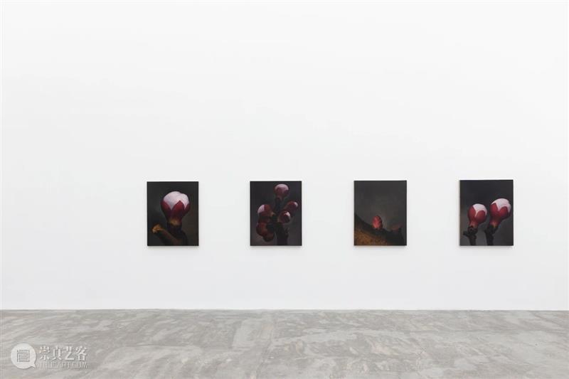 香格纳北京 | 《曲折的时间》展览作品聚焦 时间 香格纳 北京 作品 韩锋 胡柳 何伟 刘唯艰 欧阳春 孙逊 崇真艺客
