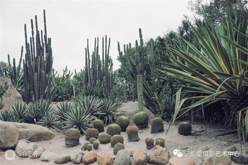 一起爬山？重阳节胶片摄影&暗房体验课 | 三影堂厦门 胶片 暗房 厦门 写真 黄金 一代 日本 大师 五人 三影堂厦门摄影艺术中心 崇真艺客