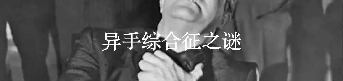 大脑噪音的惊人重要性 大脑 噪音 重要性 Lenka ime ková利维坦 方式 区域 任务 神经元 崇真艺客