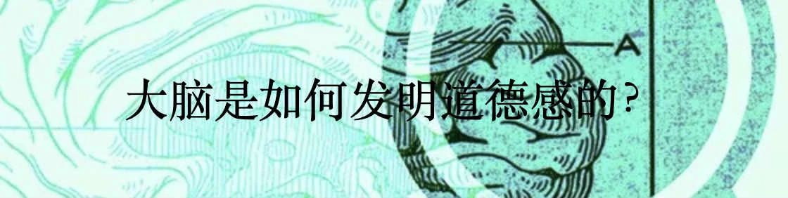 大脑噪音的惊人重要性 大脑 噪音 重要性 Lenka ime ková利维坦 方式 区域 任务 神经元 崇真艺客