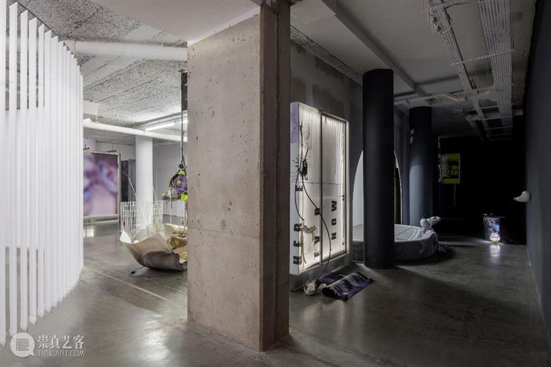 大卫·杜阿尔（David Douard ）个展在法国巴黎Le Plateau, Frac Ile-de-France Douard Ile France Plateau 大卫 杜阿尔 个展 巴黎 法国 Lulaby 崇真艺客