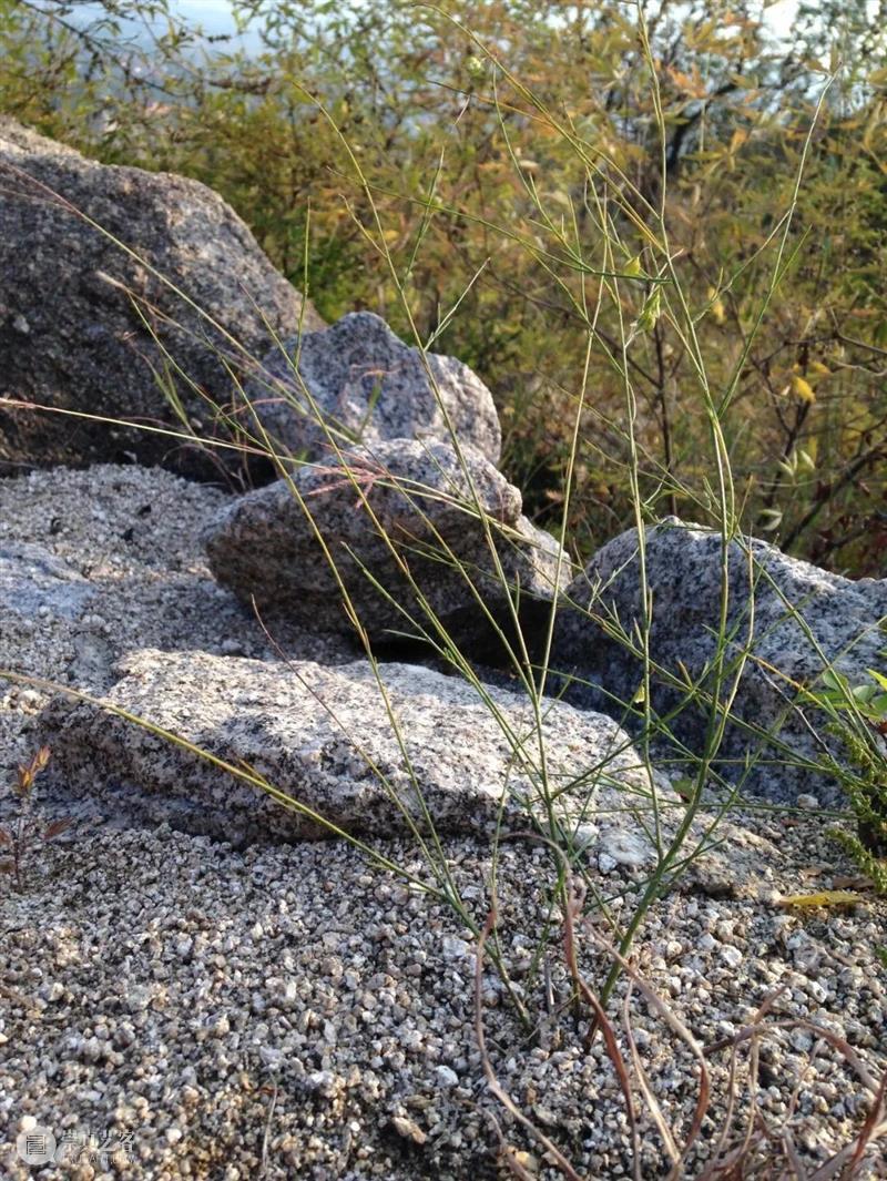 梁硕撰文 | 掏家山 梁硕 原文 荒原 公众 图片 艺术家 山东 燕山 南根 村庄 崇真艺客