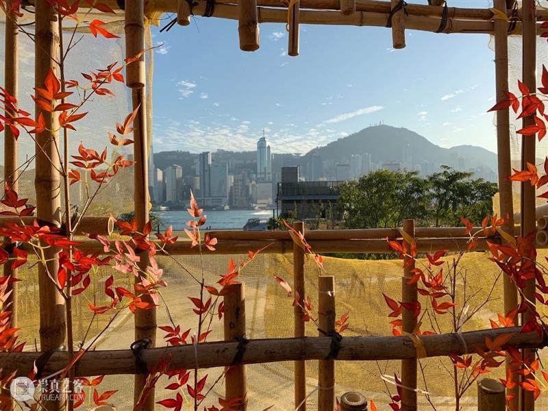 梁硕撰文 | 掏家山 梁硕 原文 荒原 公众 图片 艺术家 山东 燕山 南根 村庄 崇真艺客