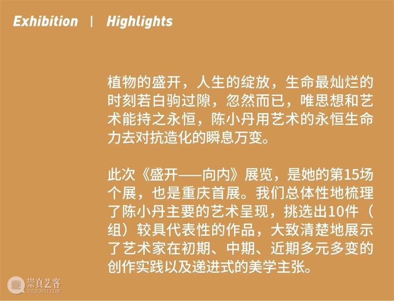 剧透丨骨头里盛开“陶”花 骨头 剧透丨 魏志杰艺术家 陈小丹 雕塑 装置 艺术家 女性 地景 艺术 崇真艺客