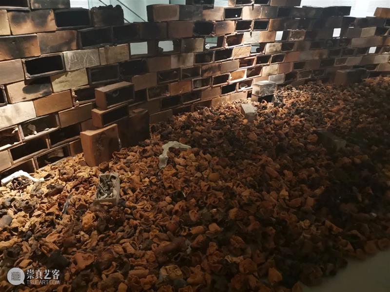 剧透丨骨头里盛开“陶”花 骨头 剧透丨 魏志杰艺术家 陈小丹 雕塑 装置 艺术家 女性 地景 艺术 崇真艺客