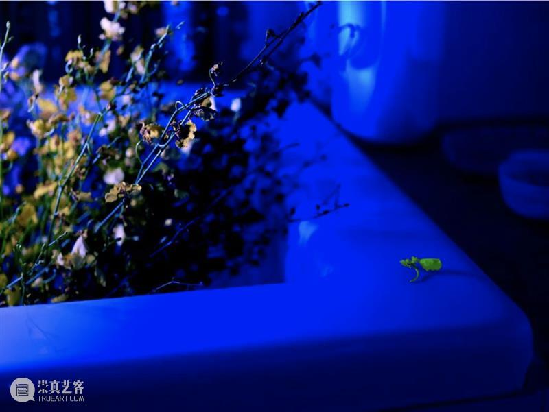 HOW 变量的活力｜胡介鸣：无名柱 变量 活力 胡介鸣 HOW 展期 艺术家 陈天灼 丁乙 梁绍基 李可政 崇真艺客