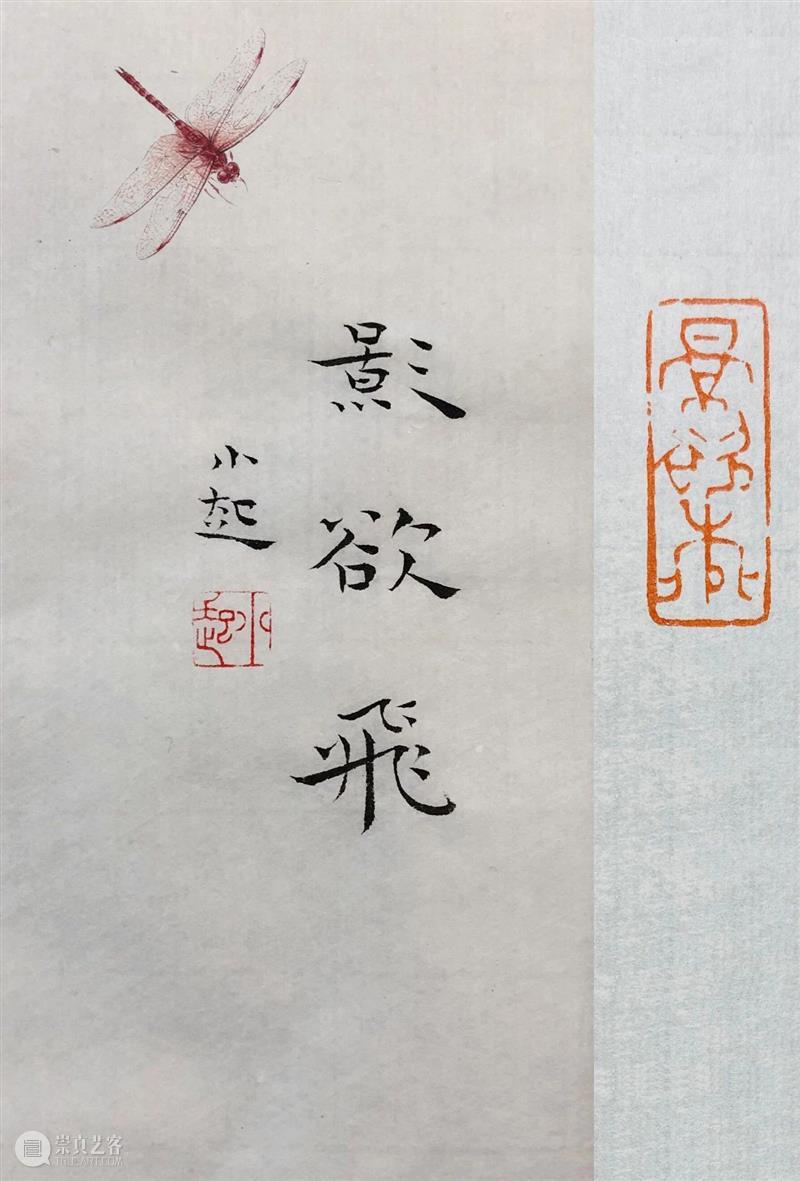 影欲飞——马新阳近作“草虫”系列 马新阳 草虫 系列 影欲飞 马小起 画家 小草 心境 意趣 小生 崇真艺客