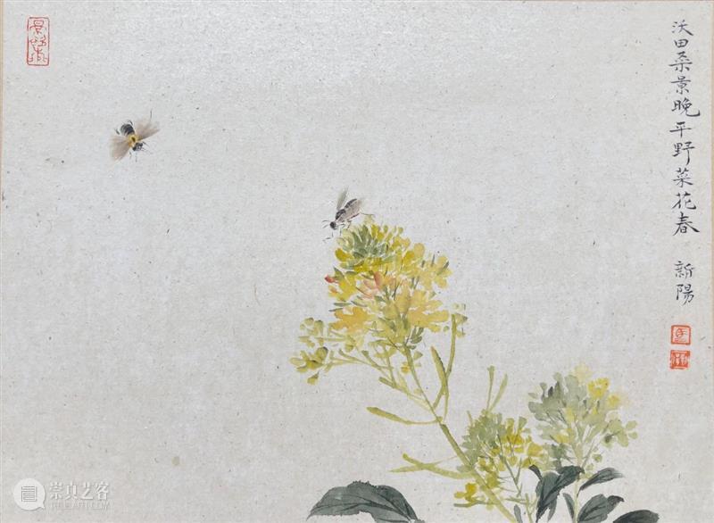 影欲飞——马新阳近作“草虫”系列 马新阳 草虫 系列 影欲飞 马小起 画家 小草 心境 意趣 小生 崇真艺客