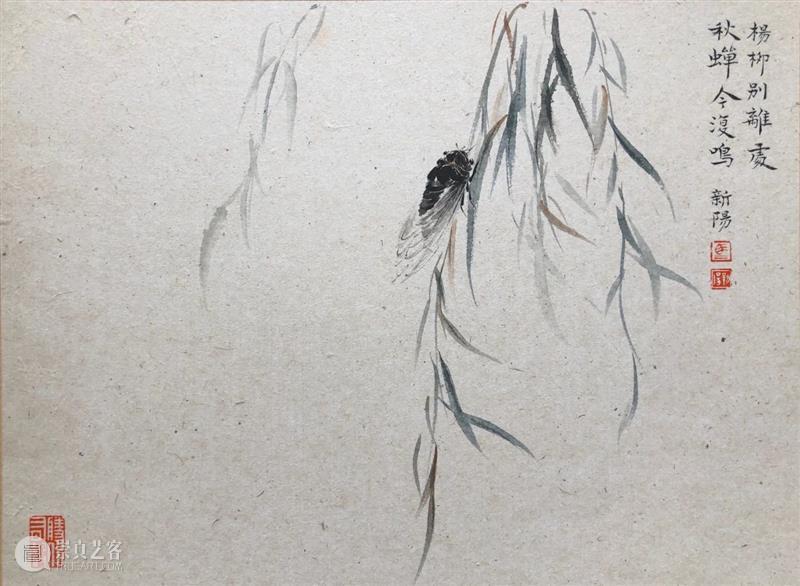 影欲飞——马新阳近作“草虫”系列 马新阳 草虫 系列 影欲飞 马小起 画家 小草 心境 意趣 小生 崇真艺客