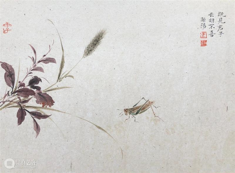 影欲飞——马新阳近作“草虫”系列 马新阳 草虫 系列 影欲飞 马小起 画家 小草 心境 意趣 小生 崇真艺客