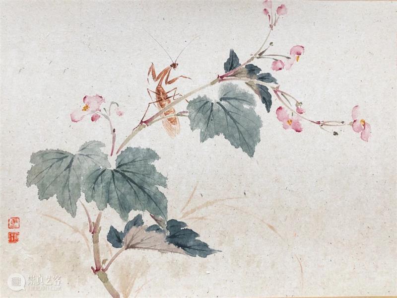 影欲飞——马新阳近作“草虫”系列 马新阳 草虫 系列 影欲飞 马小起 画家 小草 心境 意趣 小生 崇真艺客