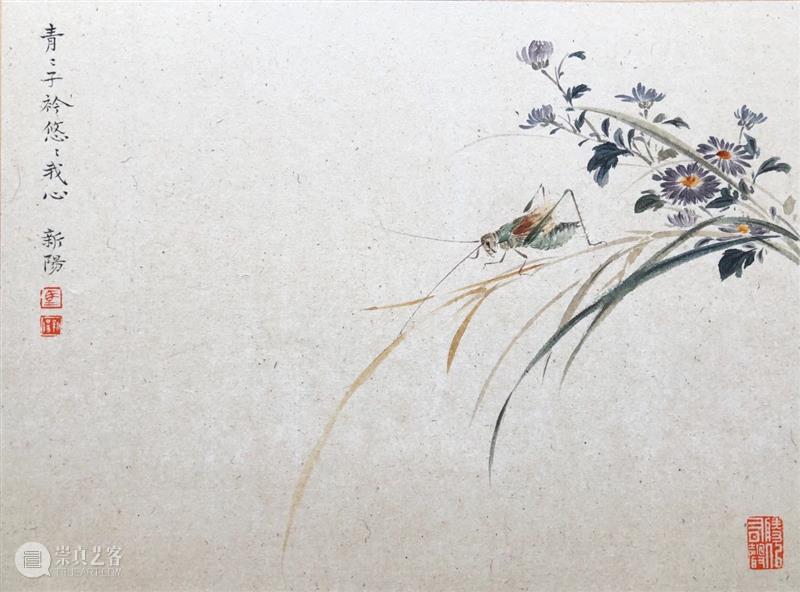 影欲飞——马新阳近作“草虫”系列 马新阳 草虫 系列 影欲飞 马小起 画家 小草 心境 意趣 小生 崇真艺客