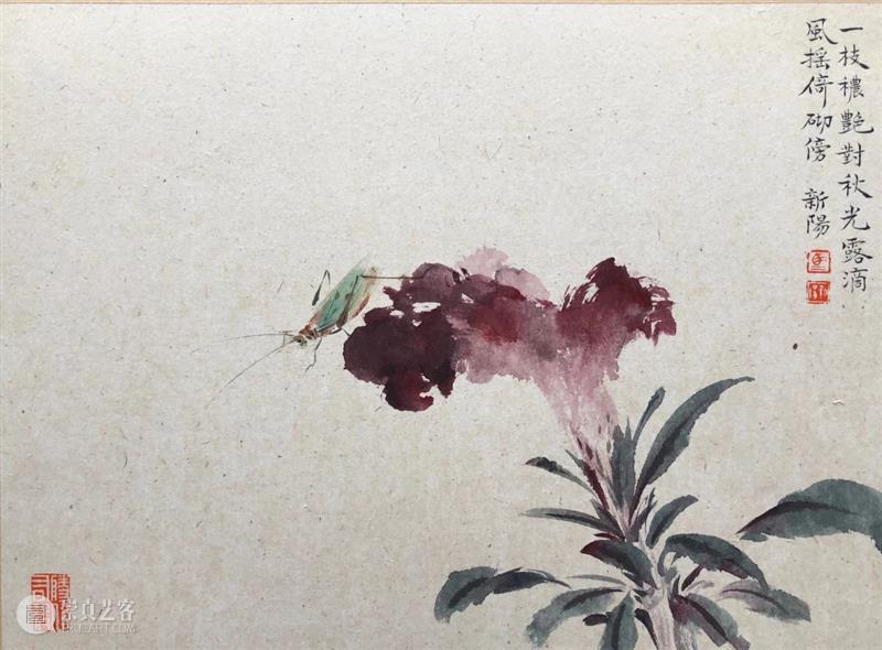 影欲飞——马新阳近作“草虫”系列 马新阳 草虫 系列 影欲飞 马小起 画家 小草 心境 意趣 小生 崇真艺客