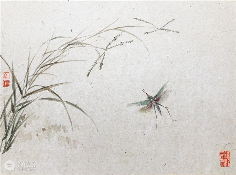 影欲飞——马新阳近作“草虫”系列 马新阳 草虫 系列 影欲飞 马小起 画家 小草 心境 意趣 小生 崇真艺客
