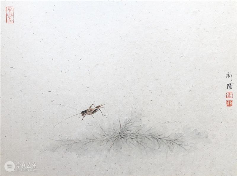 影欲飞——马新阳近作“草虫”系列 马新阳 草虫 系列 影欲飞 马小起 画家 小草 心境 意趣 小生 崇真艺客