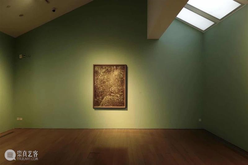 展览预告丨蜂蜜是如何酿成的——罗荃木个展 罗荃木 个展 蜂蜜 苏州博物馆 现场 照片 来源 工作室 Photo 时间 崇真艺客