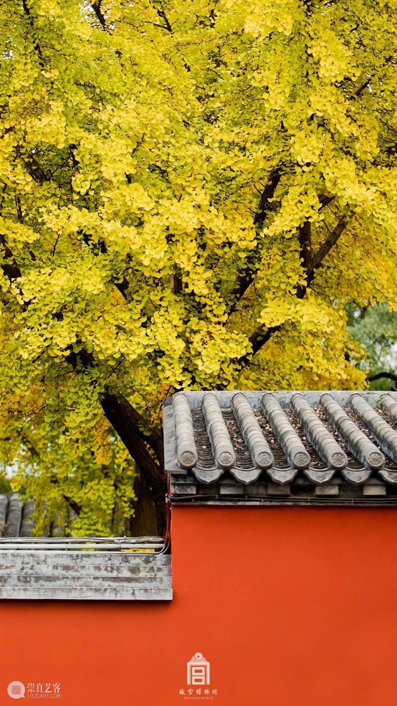 此时故宫，正是秋日好景致 故宫 此时 秋风 白云飞 草木黄落 紫禁城 经年的时光滚滚红尘 光阴 秋色 浩无际 崇真艺客