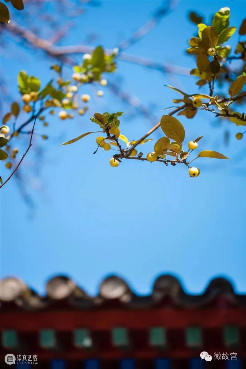 此时故宫，正是秋日好景致 故宫 此时 秋风 白云飞 草木黄落 紫禁城 经年的时光滚滚红尘 光阴 秋色 浩无际 崇真艺客