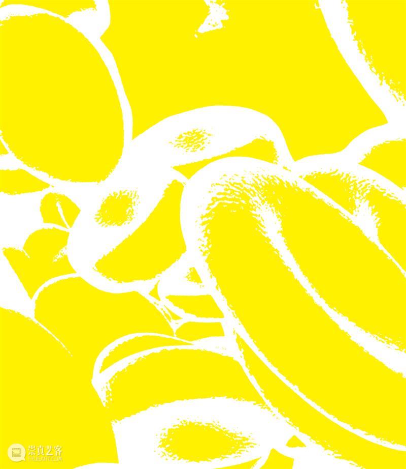 如果在北欧学摄影 北欧 北欧五国 丹麦 瑞典 挪威 芬兰 冰岛 国家 艺术 教育 崇真艺客