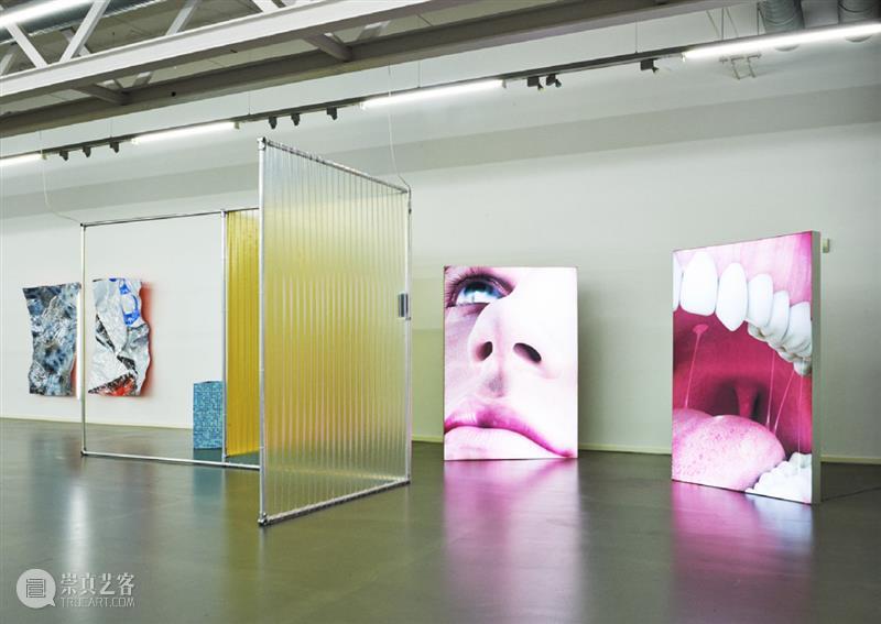 如果在北欧学摄影 北欧 北欧五国 丹麦 瑞典 挪威 芬兰 冰岛 国家 艺术 教育 崇真艺客