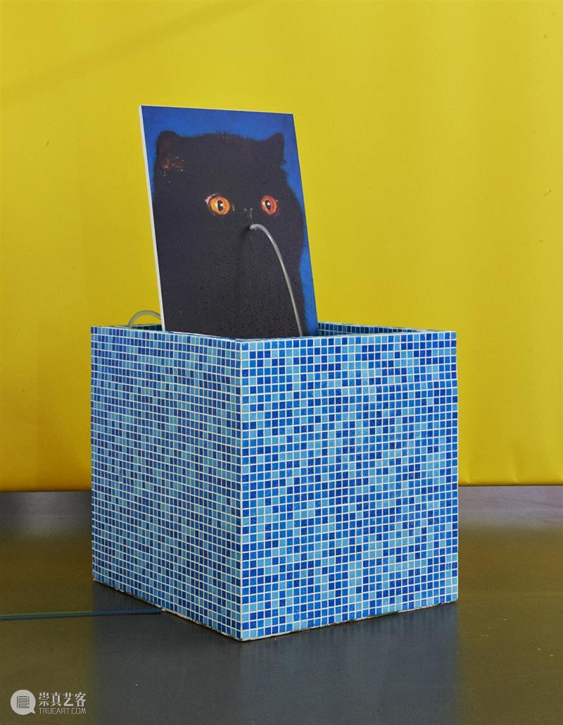 如果在北欧学摄影 北欧 北欧五国 丹麦 瑞典 挪威 芬兰 冰岛 国家 艺术 教育 崇真艺客