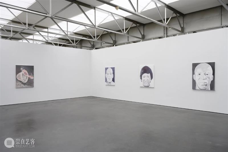 吕克·图伊曼斯作品集 | 肖像作品 吕克 图伊曼斯 作品 肖像 作品集 卓纳 画廊 现场 荷兰德庞特当代艺术博物馆 比利时 崇真艺客
