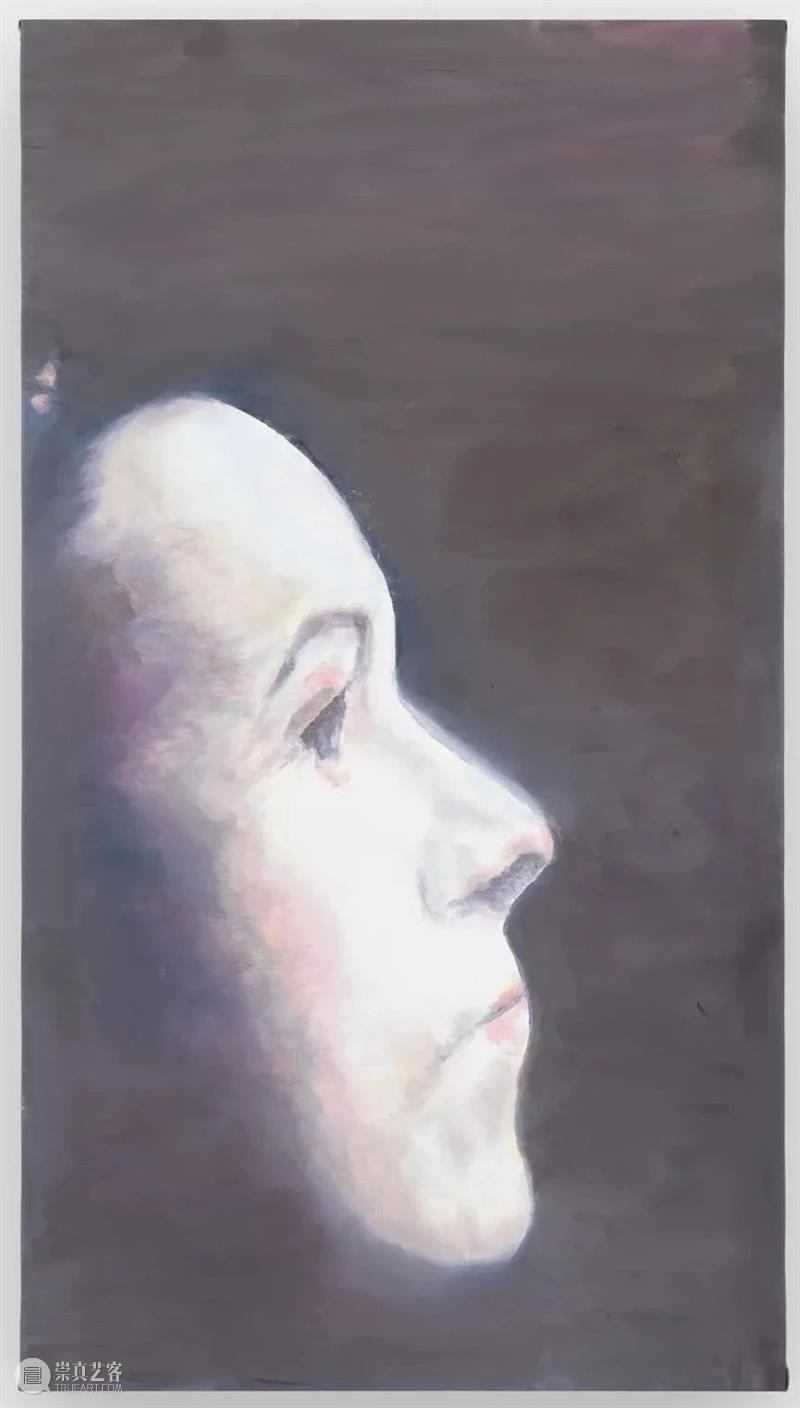 吕克·图伊曼斯作品集 | 肖像作品 吕克 图伊曼斯 作品 肖像 作品集 卓纳 画廊 现场 荷兰德庞特当代艺术博物馆 比利时 崇真艺客