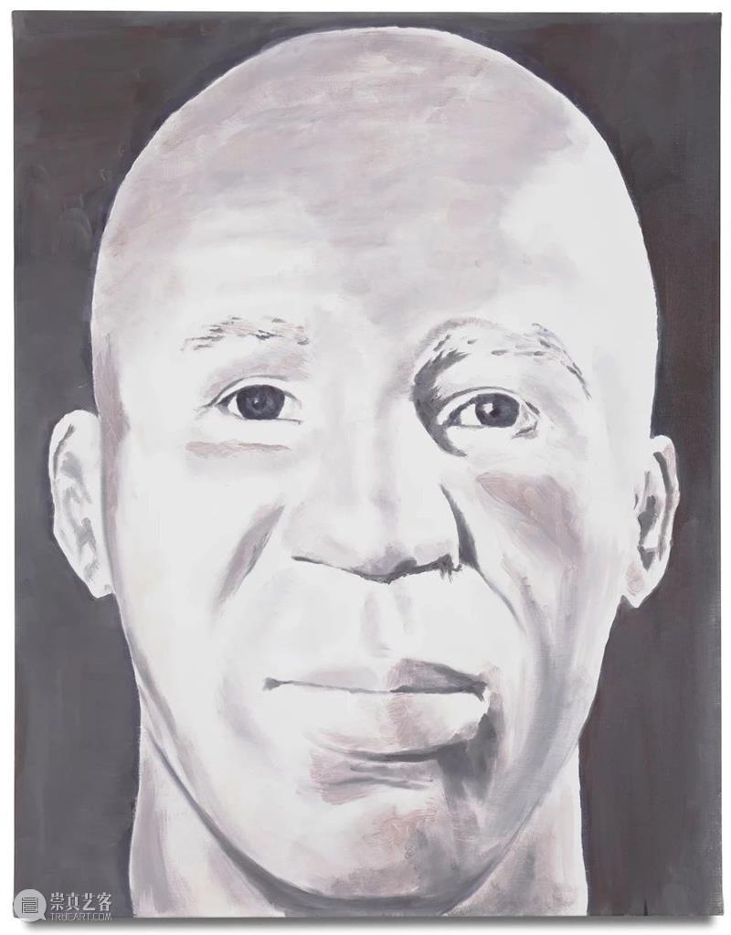 吕克·图伊曼斯作品集 | 肖像作品 吕克 图伊曼斯 作品 肖像 作品集 卓纳 画廊 现场 荷兰德庞特当代艺术博物馆 比利时 崇真艺客