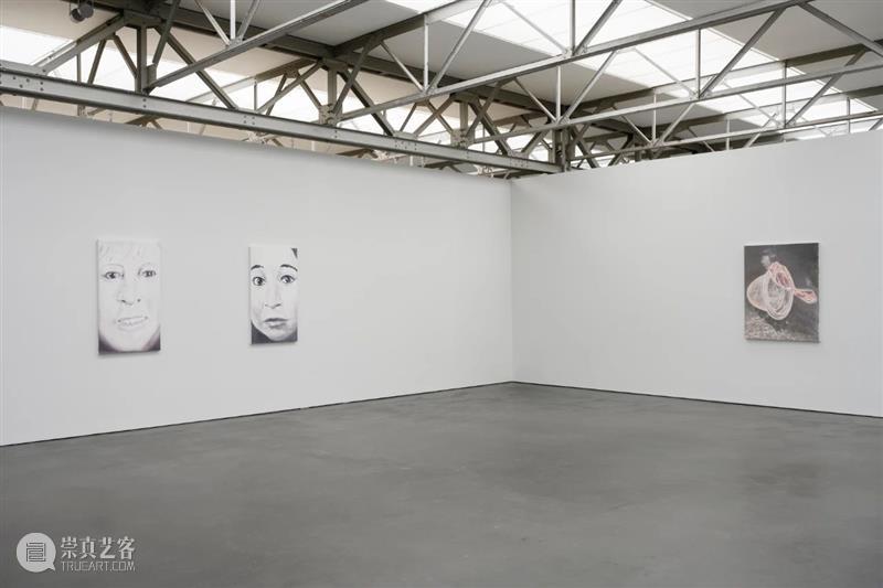 吕克·图伊曼斯作品集 | 肖像作品 吕克 图伊曼斯 作品 肖像 作品集 卓纳 画廊 现场 荷兰德庞特当代艺术博物馆 比利时 崇真艺客