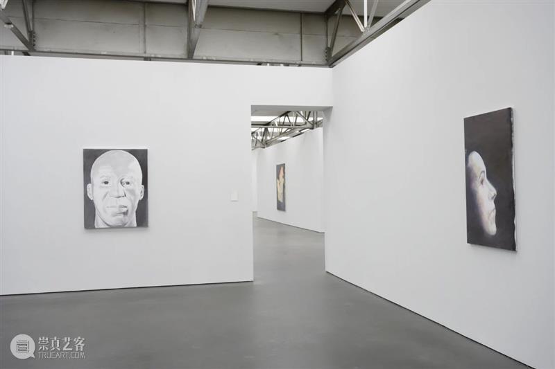 吕克·图伊曼斯作品集 | 肖像作品 吕克 图伊曼斯 作品 肖像 作品集 卓纳 画廊 现场 荷兰德庞特当代艺术博物馆 比利时 崇真艺客