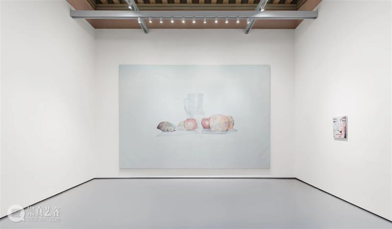 吕克·图伊曼斯作品集 | 肖像作品 吕克 图伊曼斯 作品 肖像 作品集 卓纳 画廊 现场 荷兰德庞特当代艺术博物馆 比利时 崇真艺客