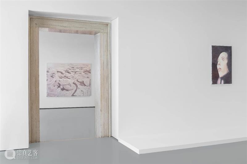 吕克·图伊曼斯作品集 | 肖像作品 吕克 图伊曼斯 作品 肖像 作品集 卓纳 画廊 现场 荷兰德庞特当代艺术博物馆 比利时 崇真艺客