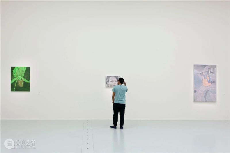 吕克·图伊曼斯作品集 | 肖像作品 吕克 图伊曼斯 作品 肖像 作品集 卓纳 画廊 现场 荷兰德庞特当代艺术博物馆 比利时 崇真艺客