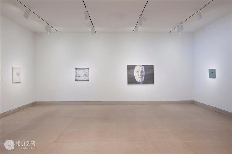 吕克·图伊曼斯作品集 | 肖像作品 吕克 图伊曼斯 作品 肖像 作品集 卓纳 画廊 现场 荷兰德庞特当代艺术博物馆 比利时 崇真艺客