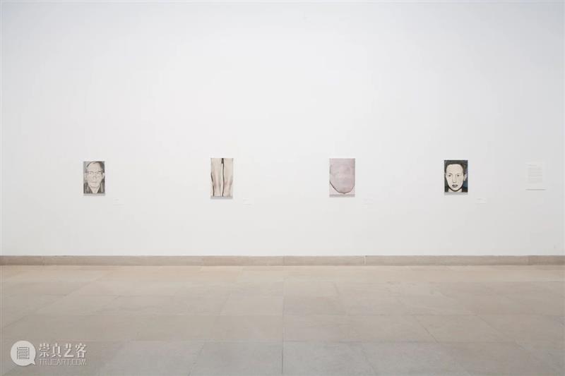 吕克·图伊曼斯作品集 | 肖像作品 吕克 图伊曼斯 作品 肖像 作品集 卓纳 画廊 现场 荷兰德庞特当代艺术博物馆 比利时 崇真艺客