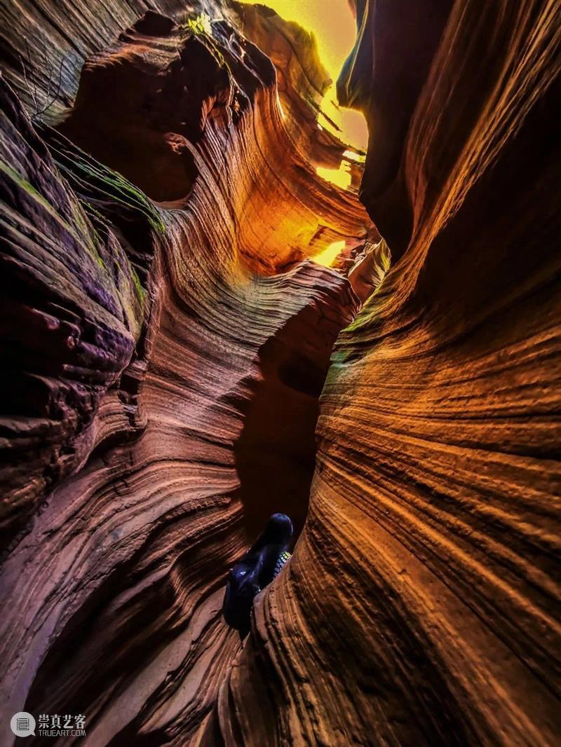 “光墨抒怀 桑榆非晚”第十五届闵行区老年教育艺术节暨老年教育书画摄影展在宝龙美术馆展出 闵行区 老年 宝龙美术馆 艺术节 书画 摄影展 时间 地点 上海宝龙美术馆 漕宝路3055号 崇真艺客