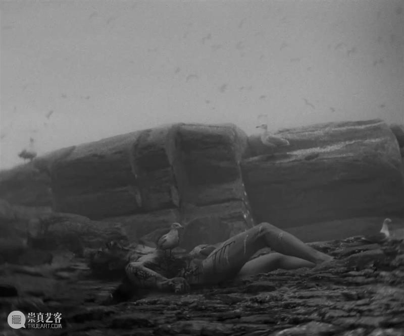 SFM·学术赏｜幽闭之中的“镰刀夺位” 镰刀 SFM 学术 幽闭 之前 博君 社交 平台 影迷们 话题 崇真艺客