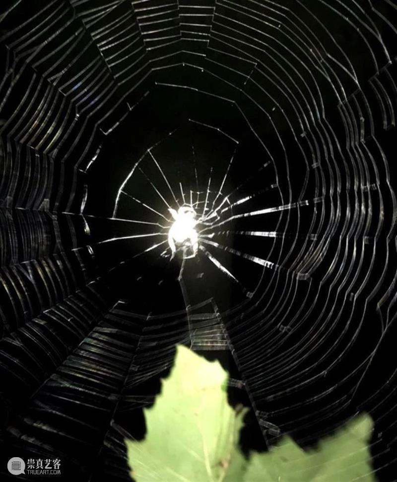 HOW夜读|Vol.15 雷蒙德·卡佛:《需要时,就给我电话》 HOW 雷蒙德·卡佛 需要时,就给我电话 昊美术馆 系列 书籍 诗歌 电影 段落 艺术 崇真艺客