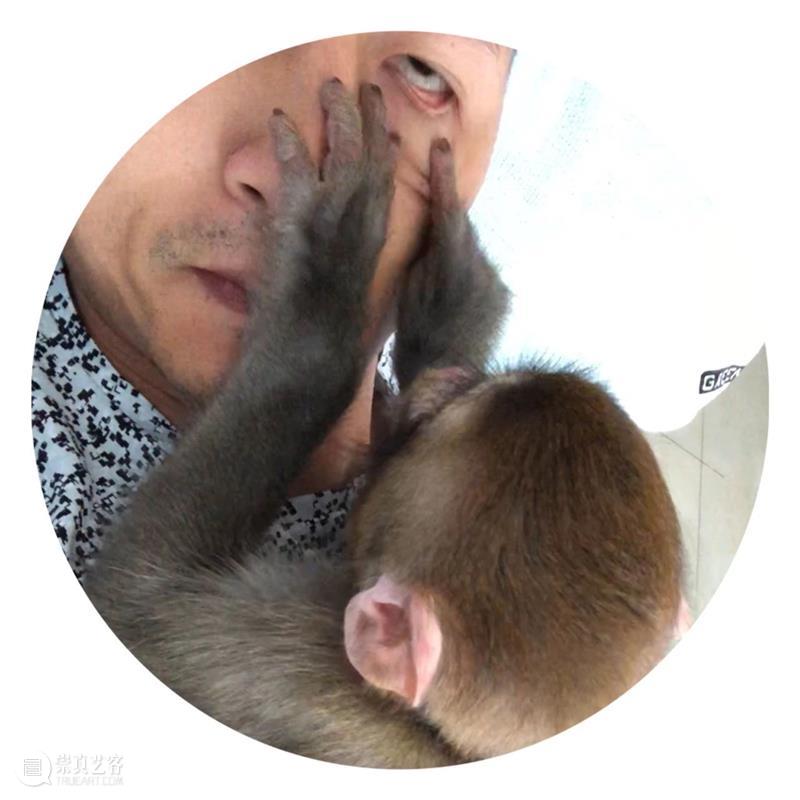 对谈实录｜《合意——中国园林中的人》共生VS合一 合意 中国 园林 实录 现场 坪山 美术馆 坪山美术馆 谈嘉宾 艺术家 崇真艺客