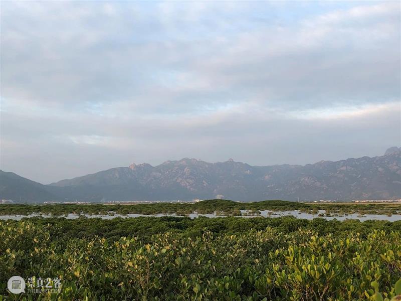 艺术走进生活，花鸟回归自然——北京画院画家赴福建及雁荡山采风写生 北京画院 花鸟 画家 福建 雁荡山 艺术 自然 生活 北京画院艺委会 主任 崇真艺客