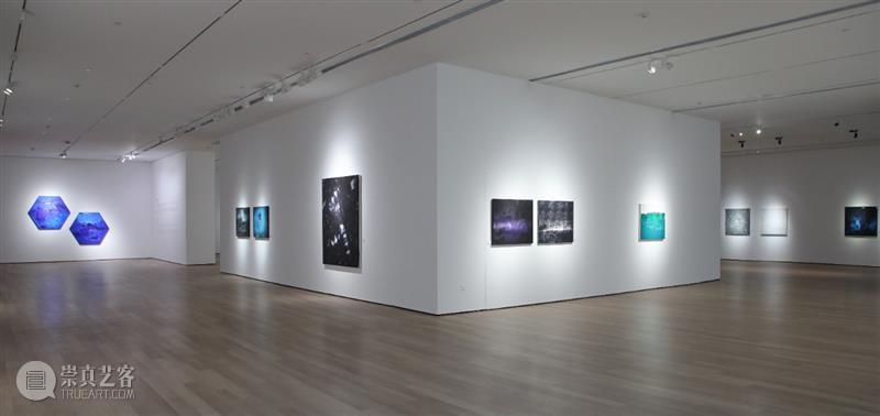 宝龙艺术中心“金耕个展”丨如若如此，方能共存 热点聚焦  宝龙艺术中心 金耕 崇真艺客